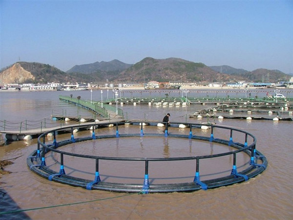 海口网箱养殖.jpg